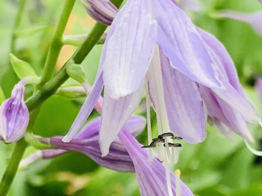 IMG_5987.jpg?type=w966