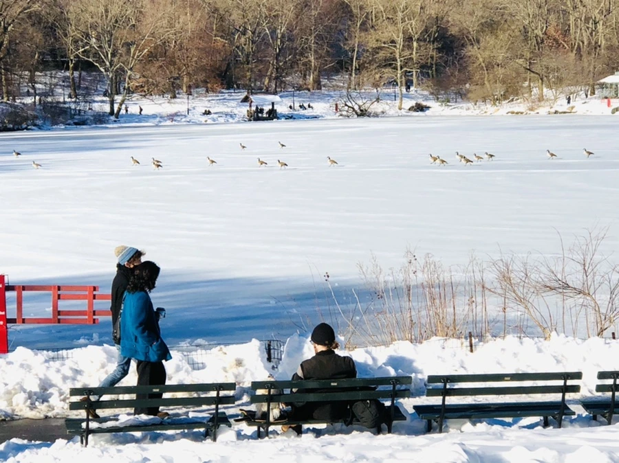 IMG_9828.jpg?type=w966