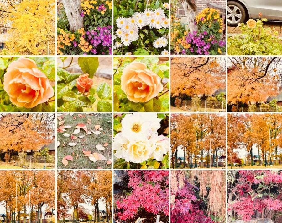 IMG_4973.jpg?type=w966