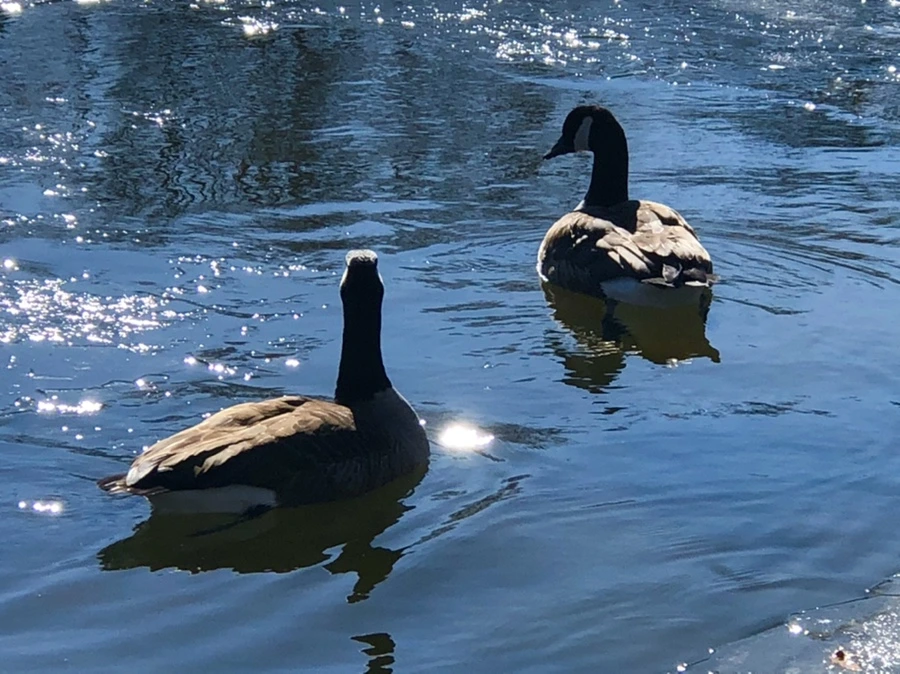 IMG_7774.jpg?type=w966