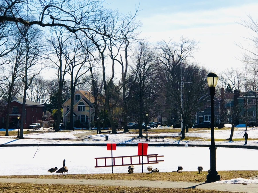 IMG_5098.jpg?type=w966