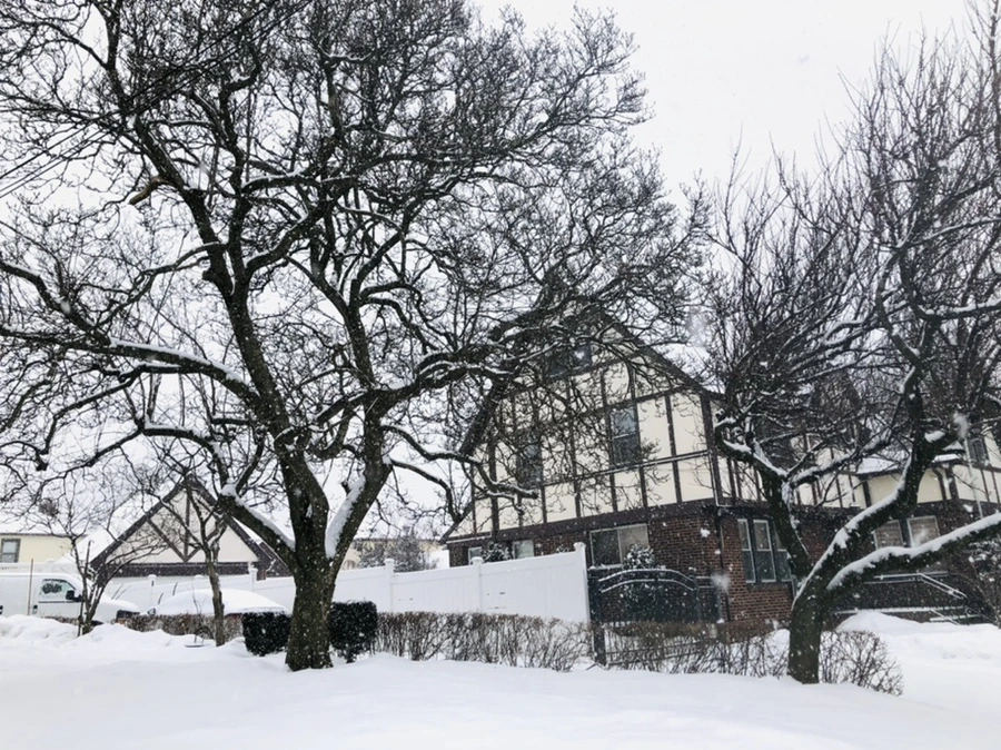 IMG_3307.jpg?type=w966