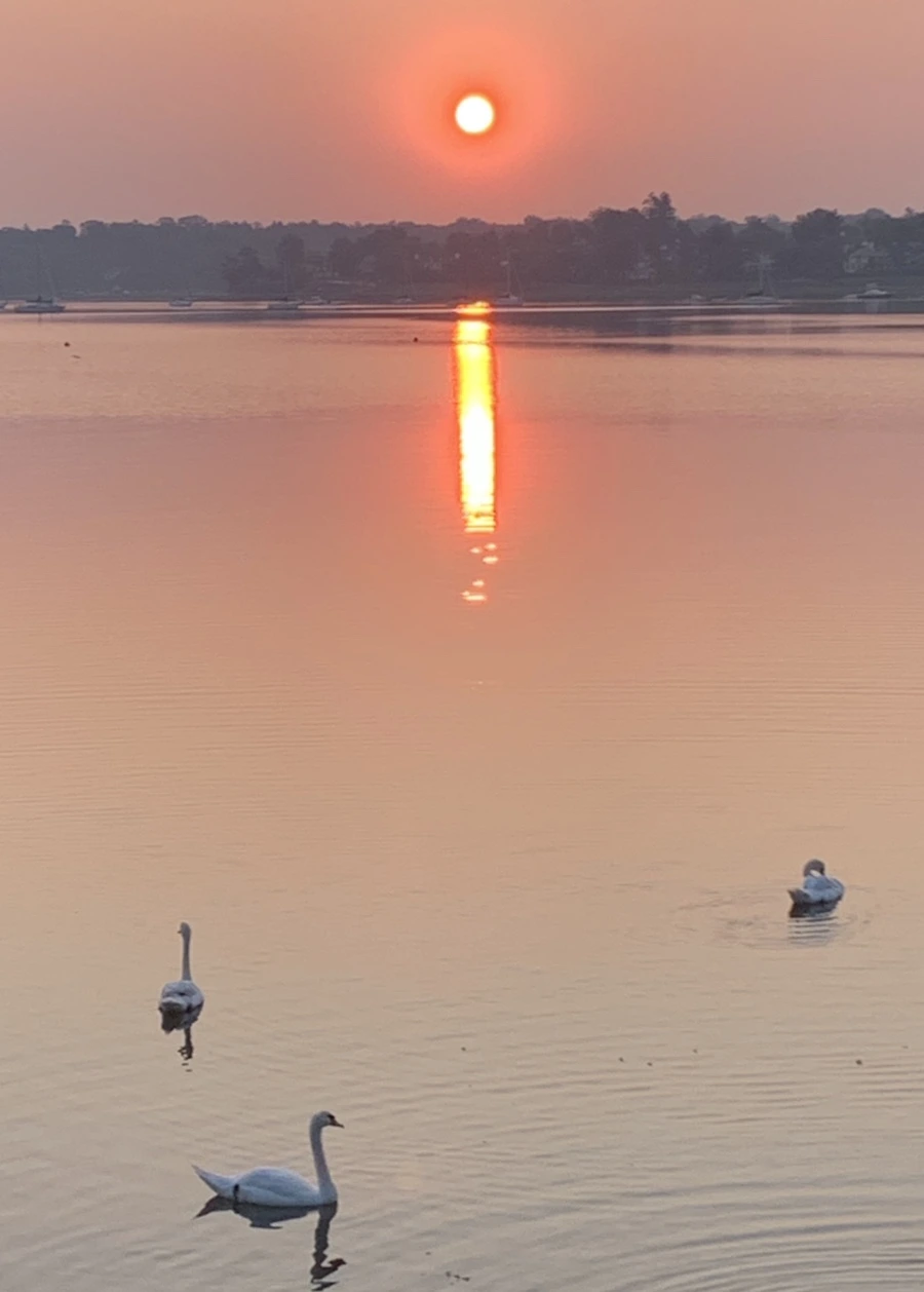 IMG_1991.jpg?type=w966