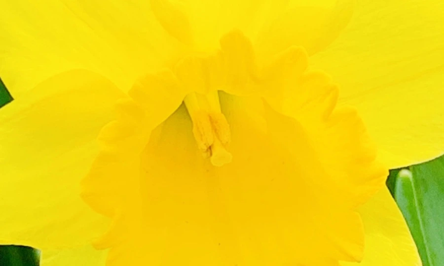 IMG_5891.jpg?type=w966