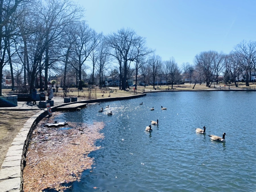 IMG_7533.jpg?type=w966