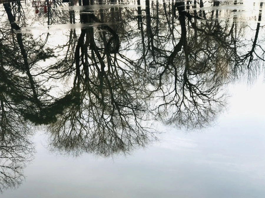 IMG_2530.jpg?type=w966