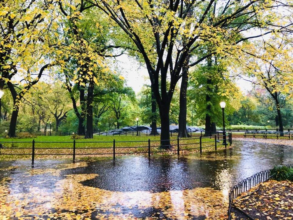 IMG_3126.jpg?type=w966