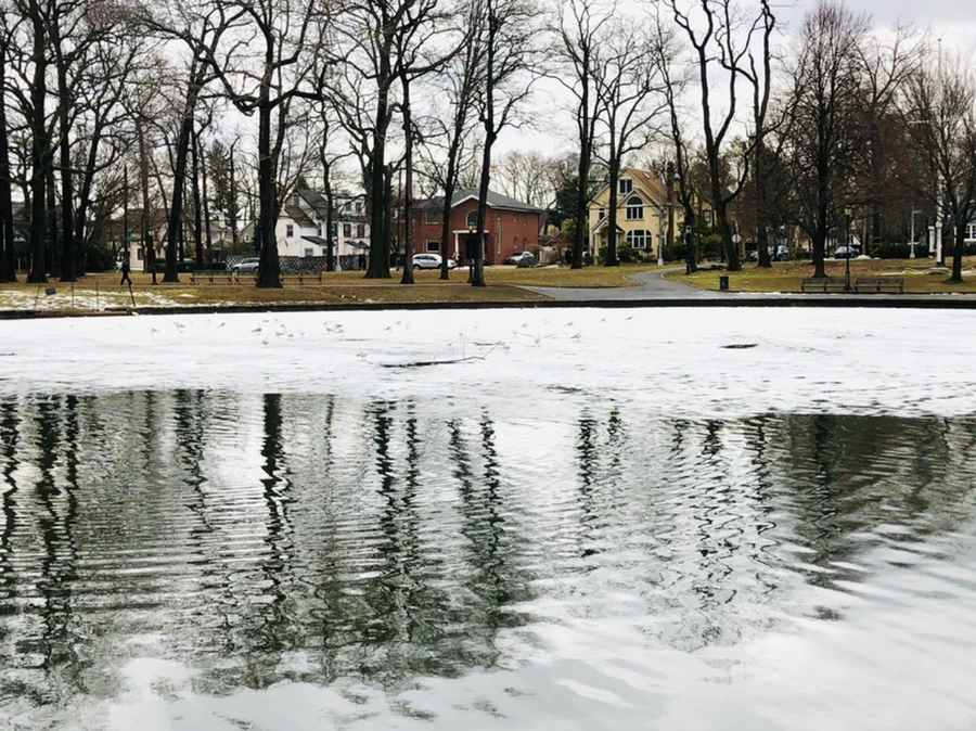 IMG_6454.jpg?type=w966