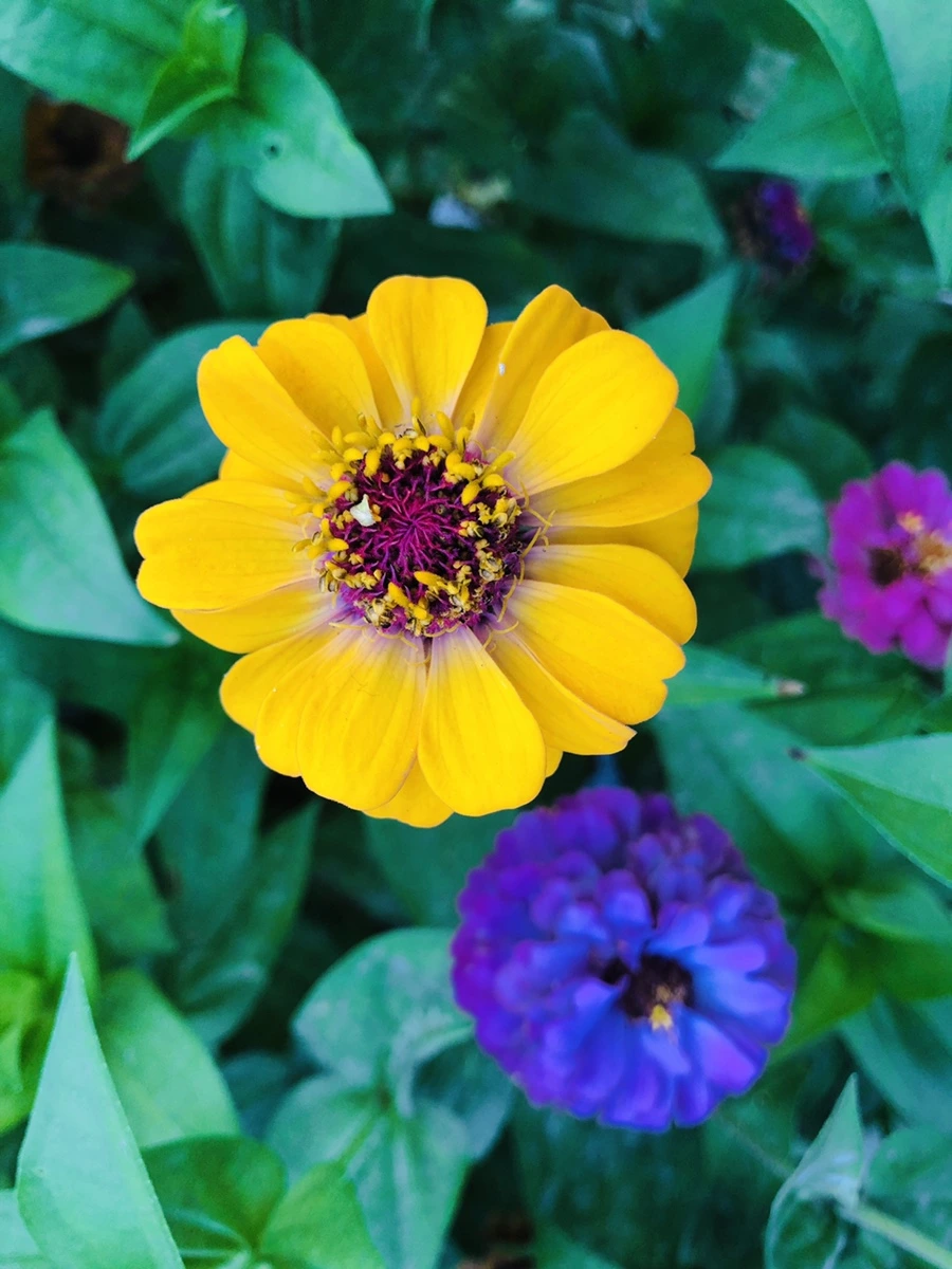 IMG_3640.jpg?type=w966