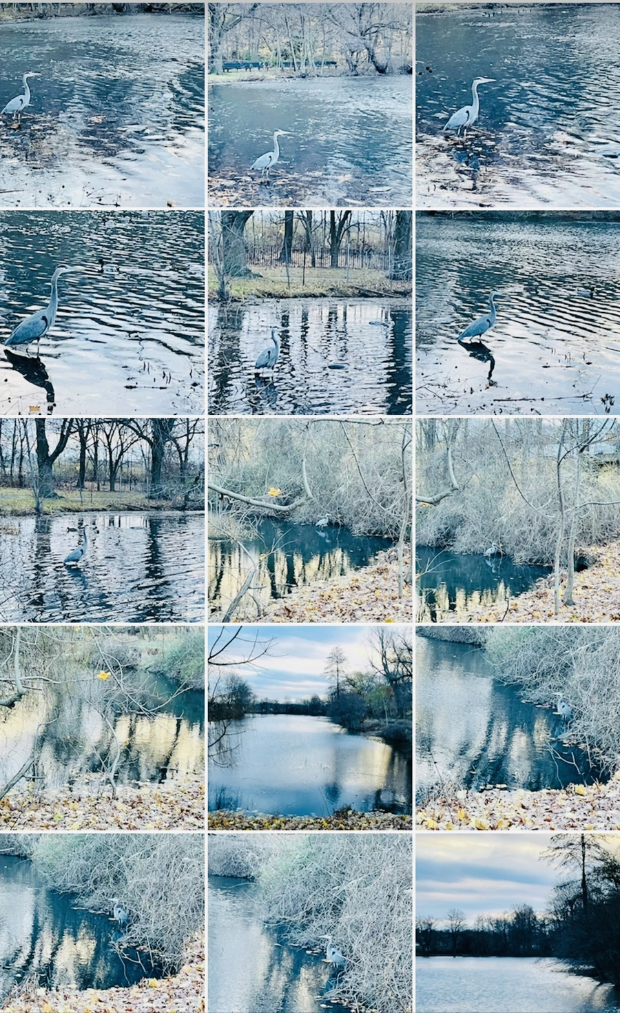 IMG_6689.jpg?type=w966