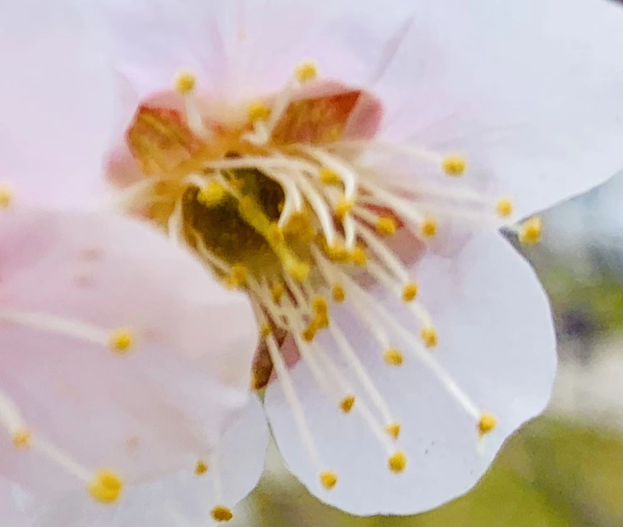 IMG_0492.jpg?type=w966