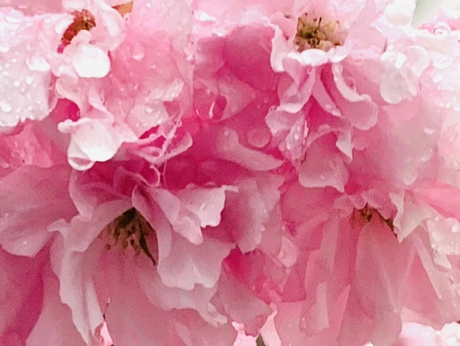 HhzfB1_1QfEhXkeS08wgG1nbPGI