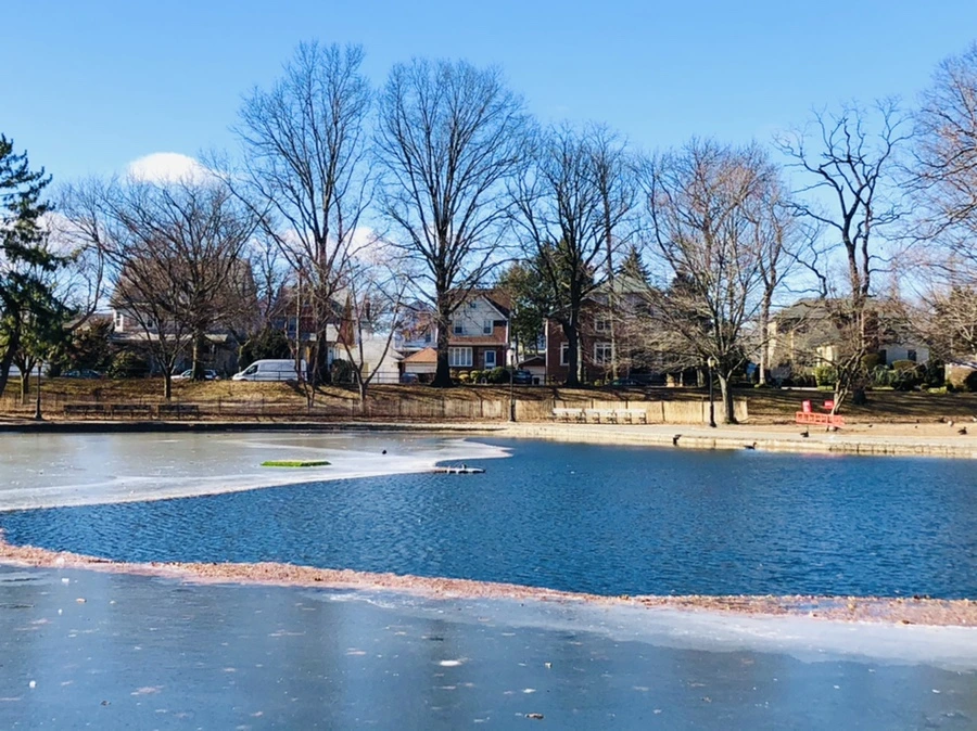 IMG_7596.jpg?type=w966