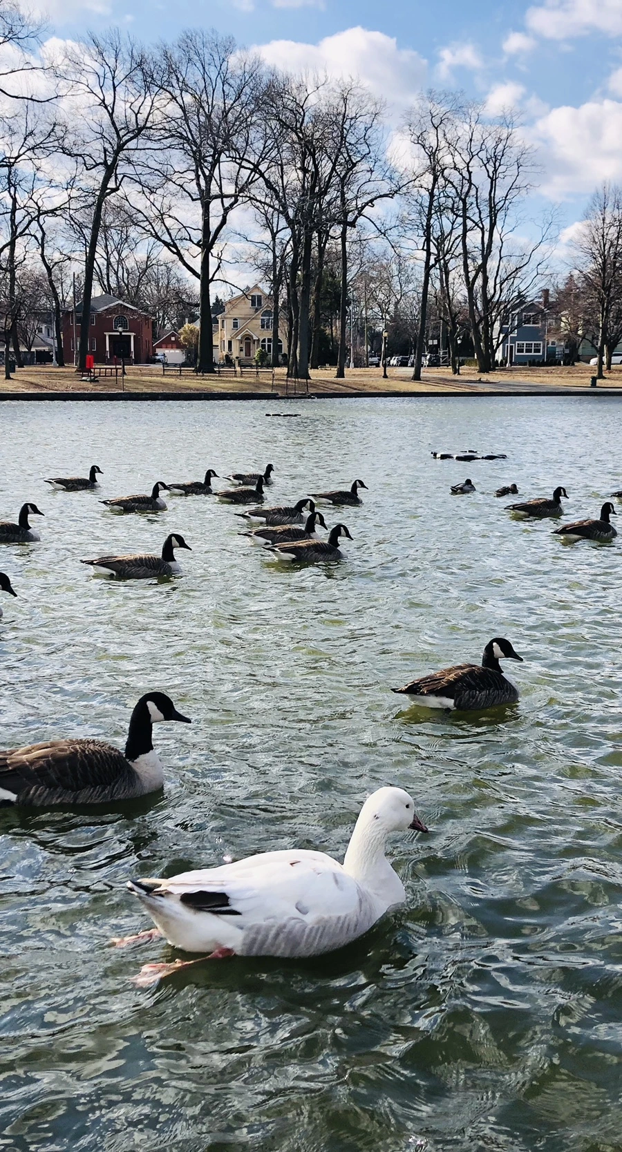 IMG_0166.jpg?type=w966