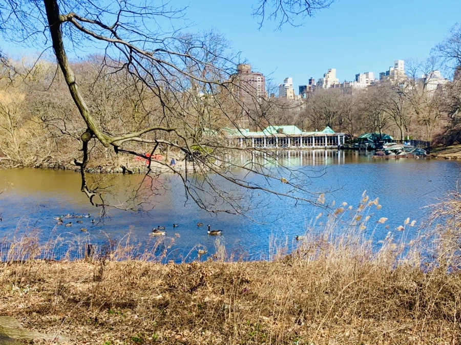 IMG_0702.jpg?type=w966