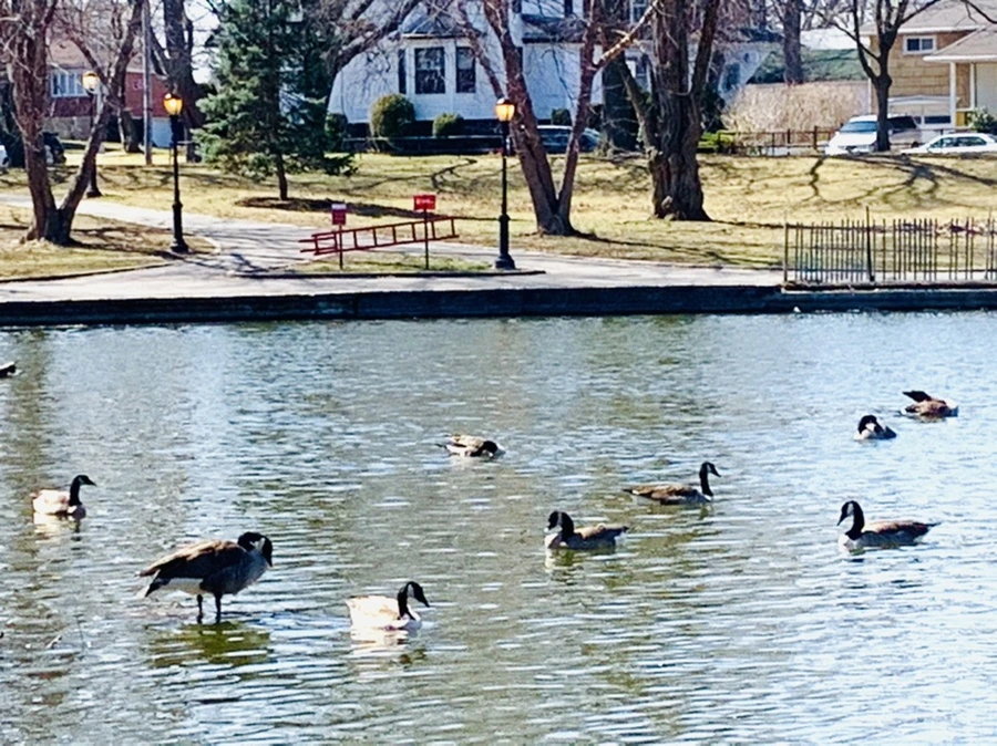 IMG_3078.jpg?type=w966