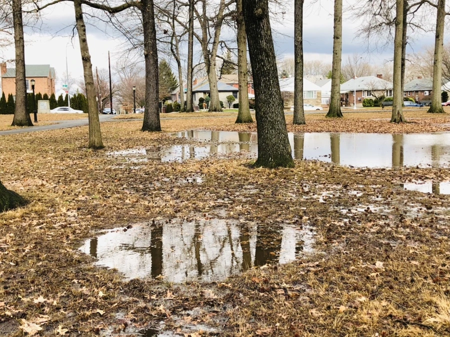 IMG_3495.jpg?type=w966