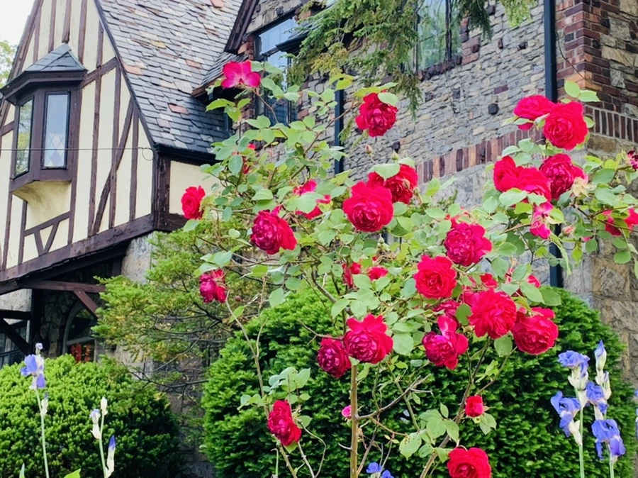 IMG_6628.jpg?type=w966