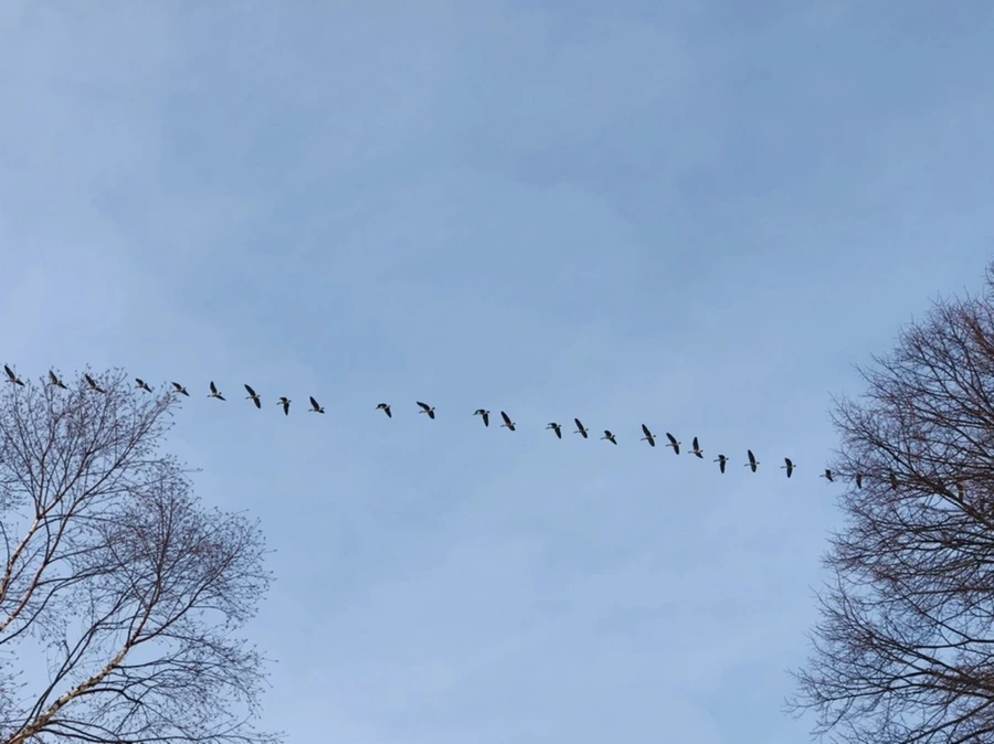 IMG_2260.jpg?type=w966