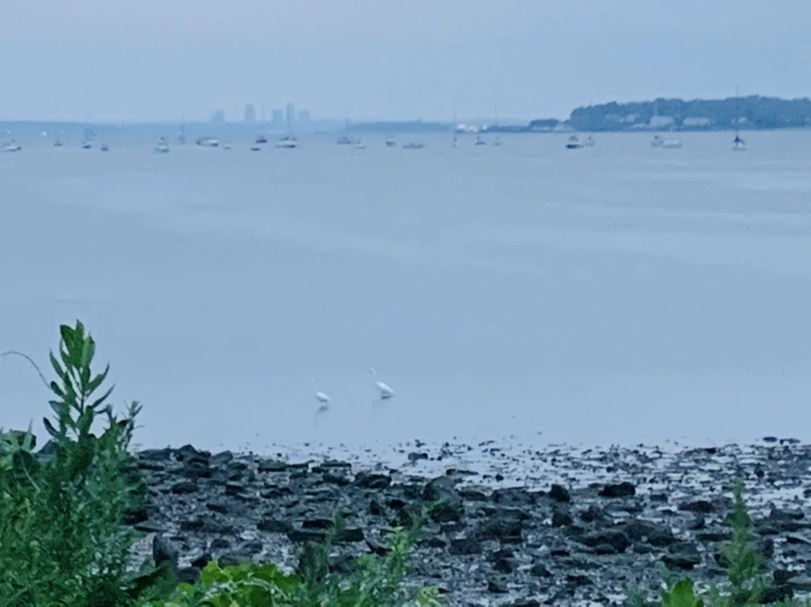 IMG_0703.jpg?type=w966