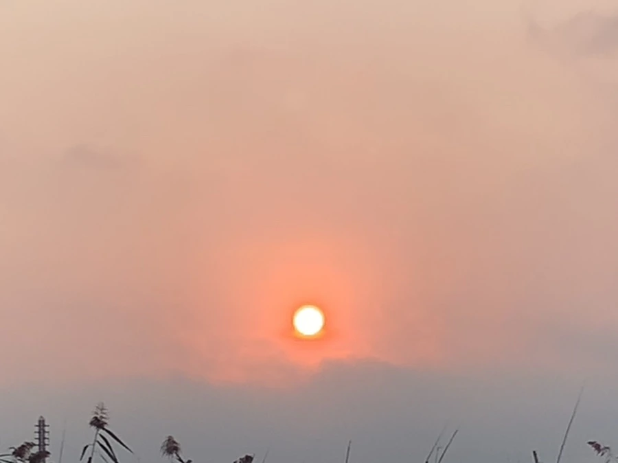 IMG_1147.jpg?type=w966