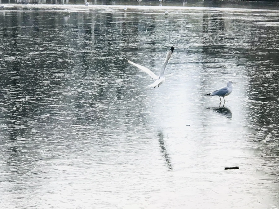 IMG_2054.jpg?type=w966