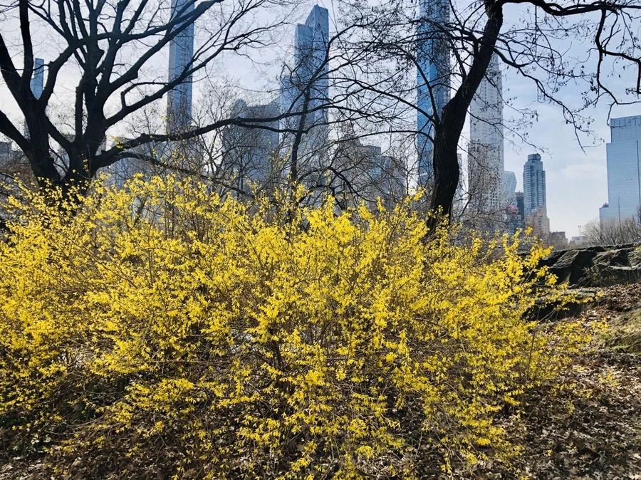 IMG_6477.jpg?type=w966