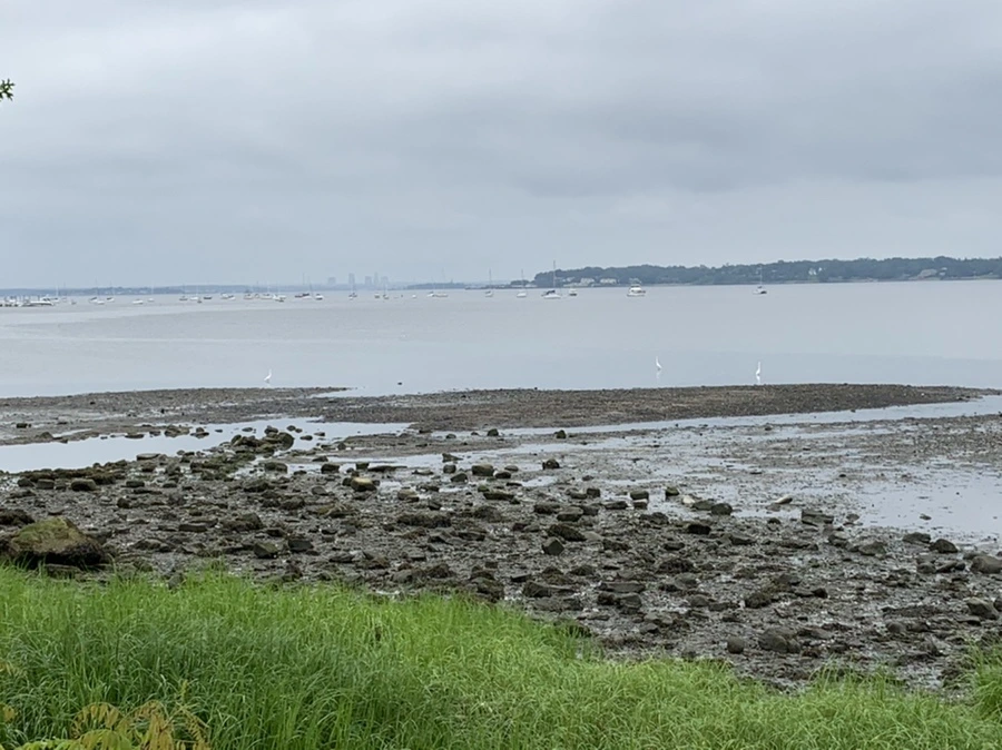 IMG_3720.jpg?type=w966