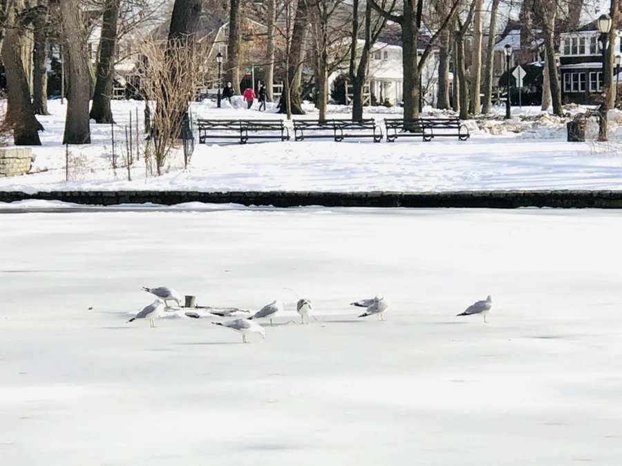 IMG_0172.jpg?type=w966