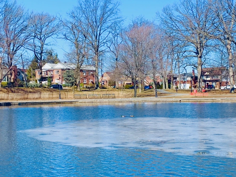 IMG_6599.jpg?type=w966