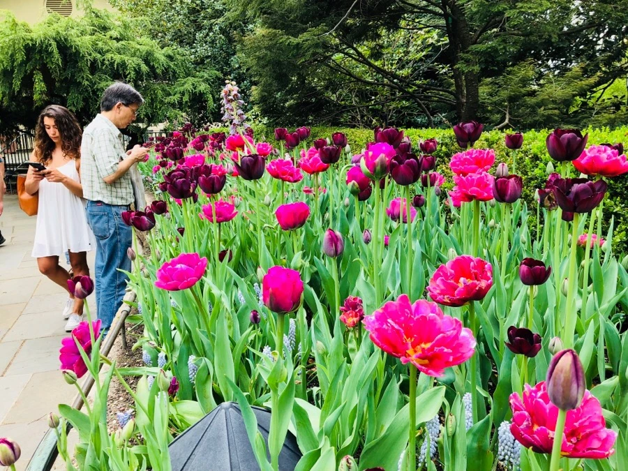 IMG_5540.jpg?type=w966