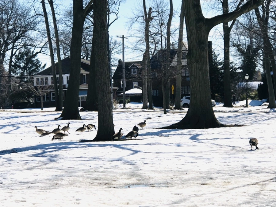 IMG_4547.jpg?type=w966