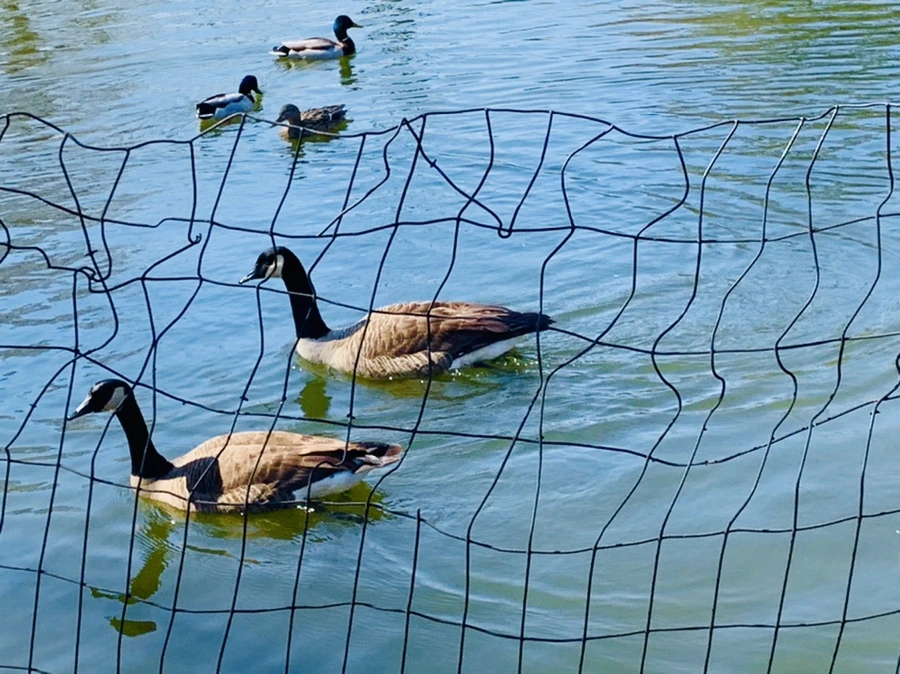 IMG_9830.jpg?type=w966