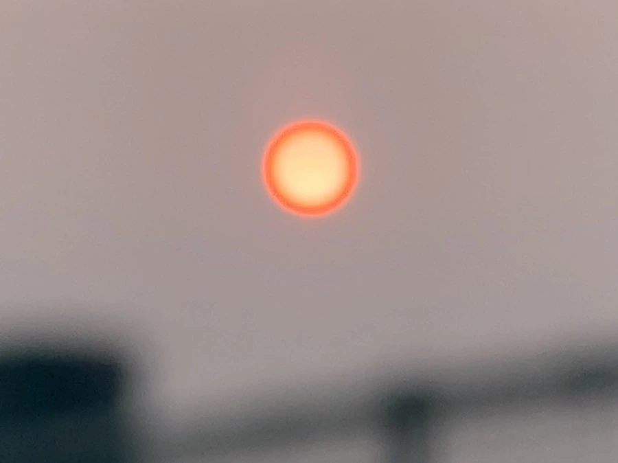 IMG_8056.jpg?type=w966