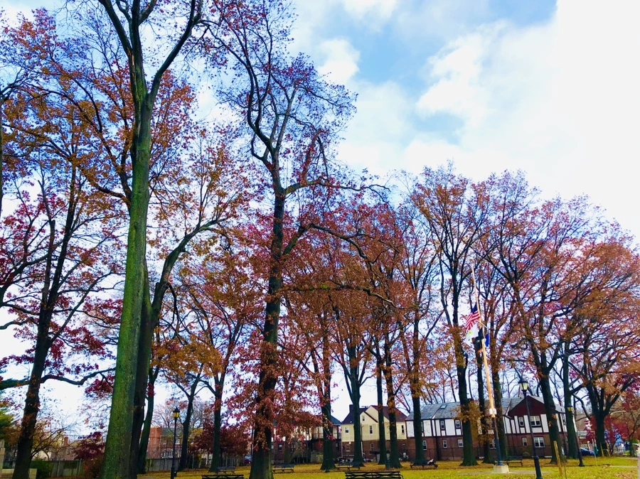 IMG_5428.jpg?type=w966