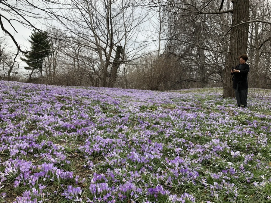 IMG_1985.jpg?type=w966