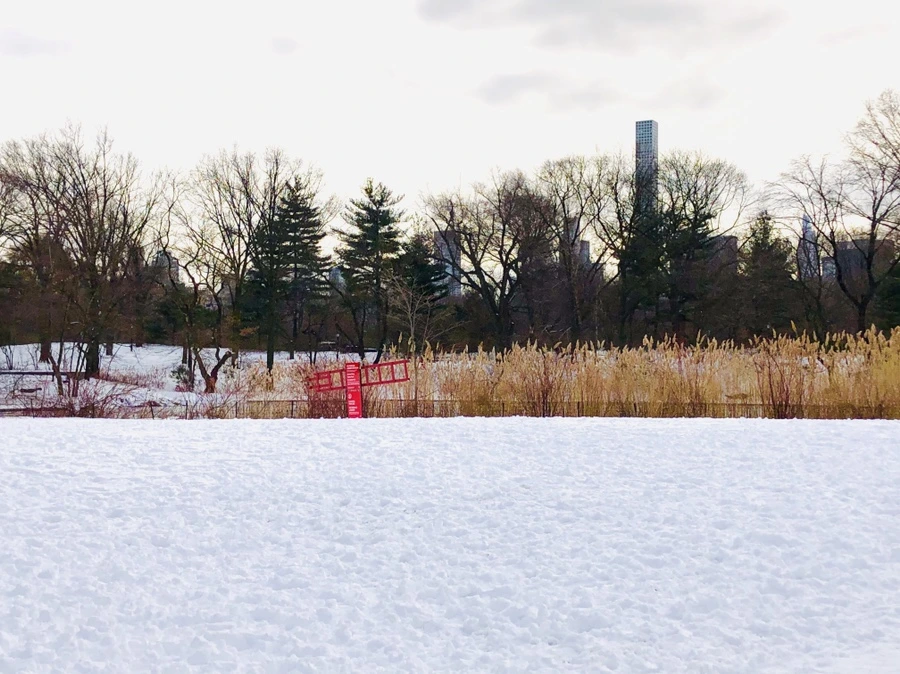 IMG_7316.jpg?type=w966