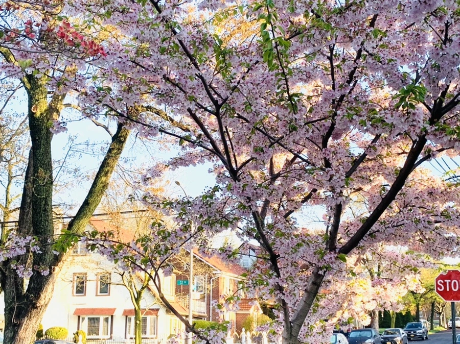 IMG_2476.jpg?type=w966