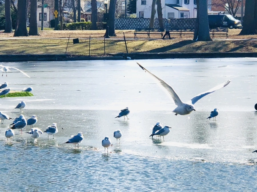 IMG_6826.jpg?type=w966