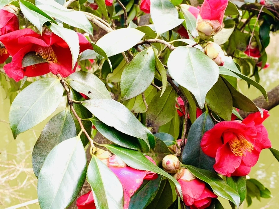 IMG_6448.jpg?type=w966