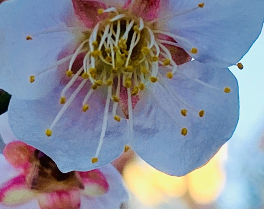 IMG_0944.jpg?type=w966