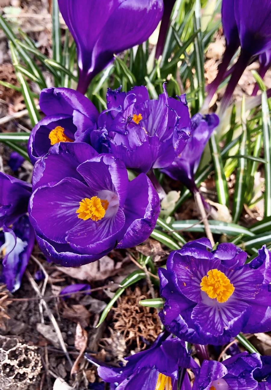 IMG_6026.jpg?type=w966