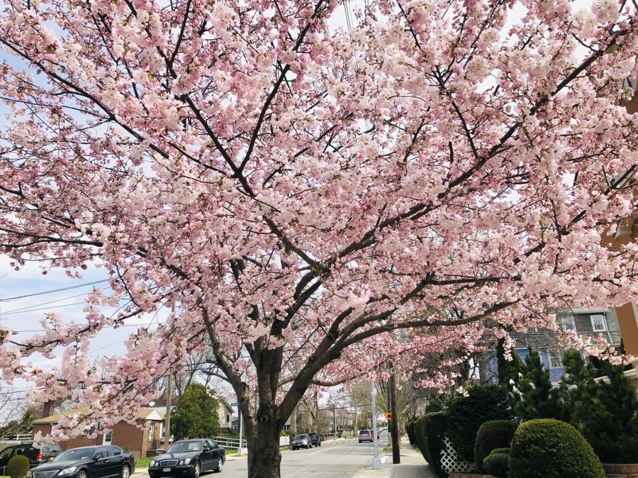 IMG_2819.jpg?type=w966