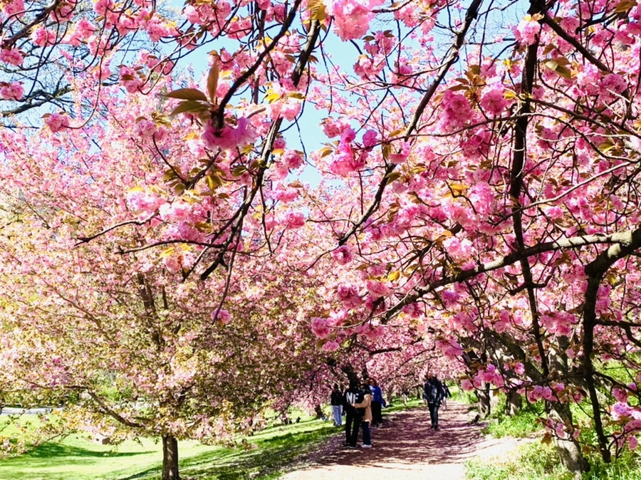 IMG_5993.jpg?type=w966