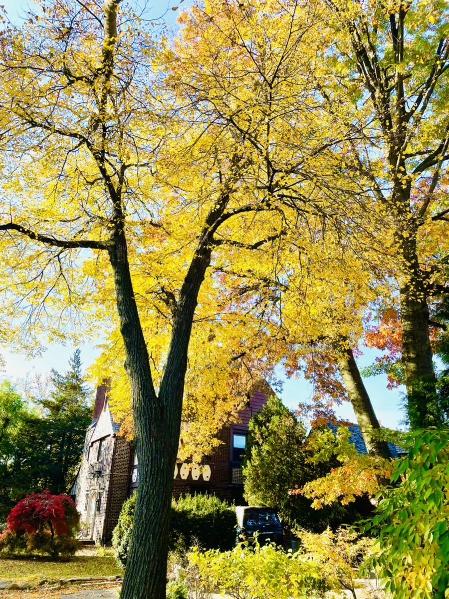 IMG_2219.jpg?type=w966