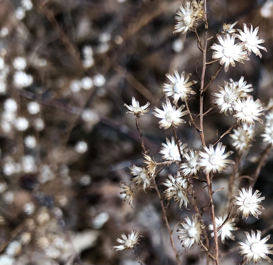 IMG_6502.jpg?type=w966