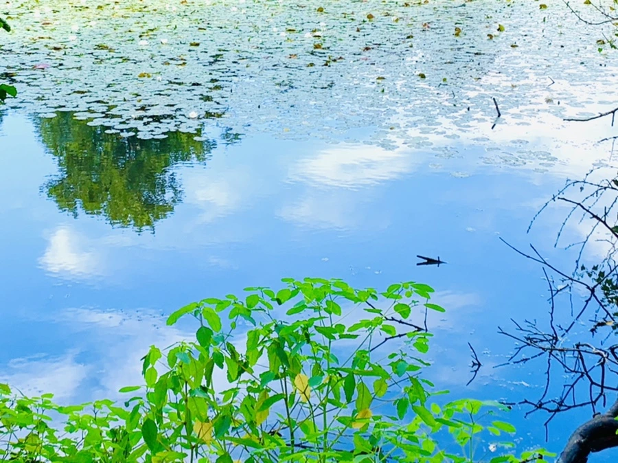 IMG_9298.jpg?type=w966