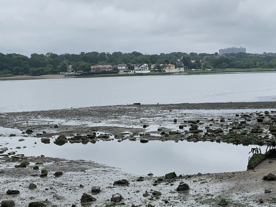 IMG_3691.jpg?type=w966