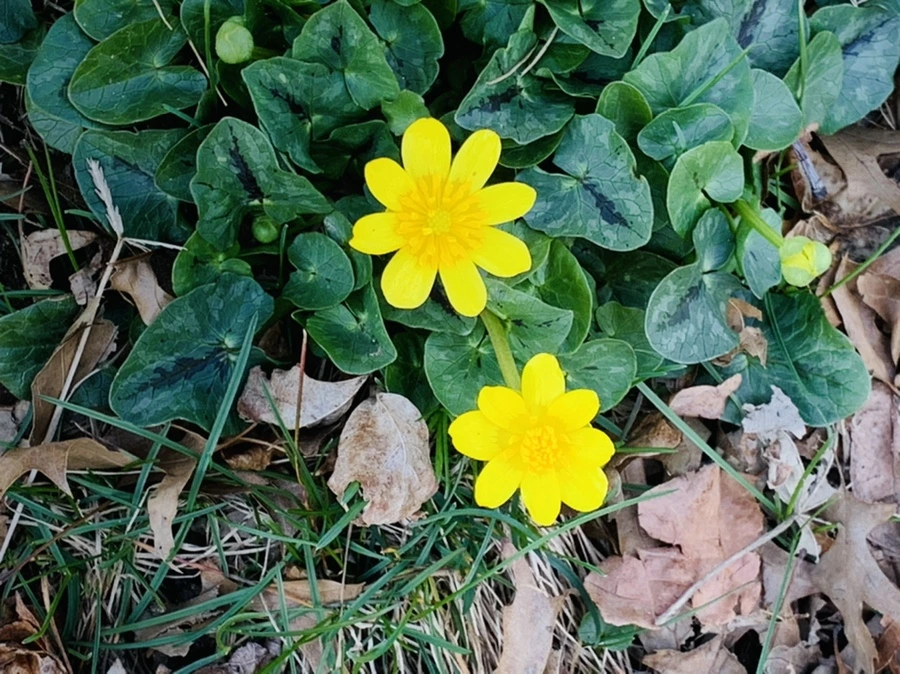 IMG_4507.jpg?type=w966