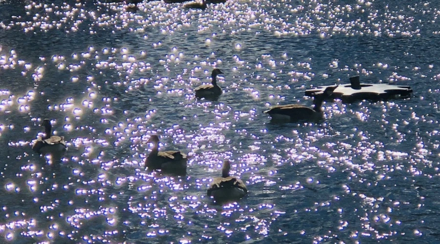 IMG_9191.jpg?type=w966